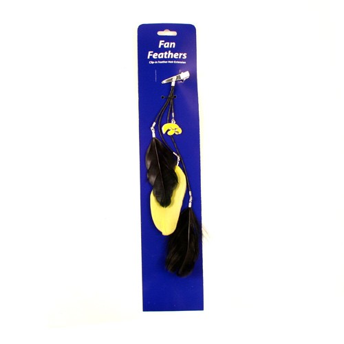 Special Buy - Iowa Hawkeyes - Feather Hair Clips - 12 For $24.00 - Iowa Hawkeyes