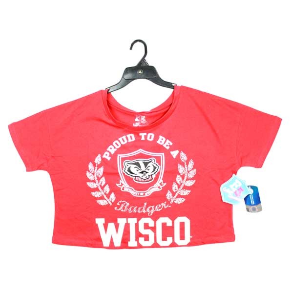 Wisconsin Badgers Shirts - WISCO Crop Tops - Size Breakdown 2-4-4-2 - 12 Shirts For $60.00 - Wisconsin Badgers