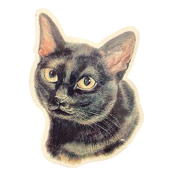 Magnets - The Cat Magnet - 48 For $24.00