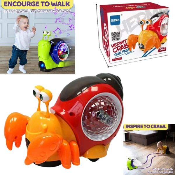 The Hermit Crab Lovely Series - LED Lights & Music - Watch The Crab Run - Batteries Not Included - 6 For $36.00