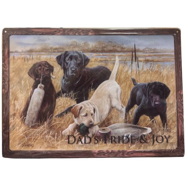 Dad's Pride & Joy - #40063 - 17"x12" Metal Tin Decorative Signs - 8 For $32.00