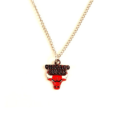 Chicago Bulls Necklace - AMCO Metal Chain and Pendant - $3.00 - Chicago Bulls