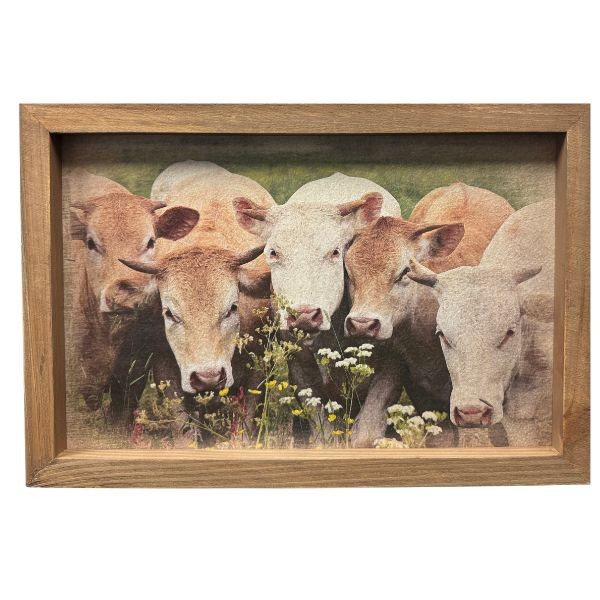 The Gathered Herd - #35998 - 15"x10" Wooden Framed Art - Modern Country Design - 8 For $32.00 - Wholesale Mystery Merchandise - Wholesale John Deere - Wholesale Licensed Products