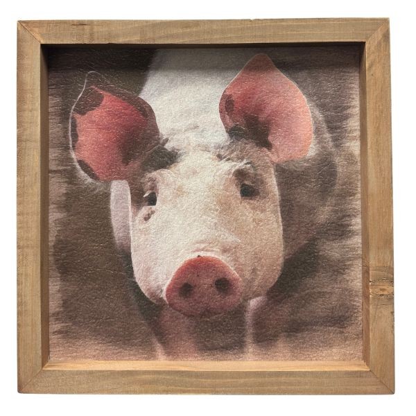 The Pig Portrait - #36004 - 12"x12" Wooden Framed Art - Modern Country Design - 8 For $32.00