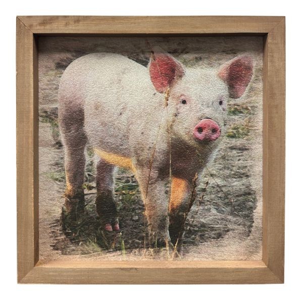 The Standing Pig - #36003 - 12"x12" Wooden Framed Art - Modern Country Design - 8 For $32.00